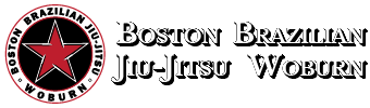 Boston Brazilian Jiu Jitsu Academy Woburn logo